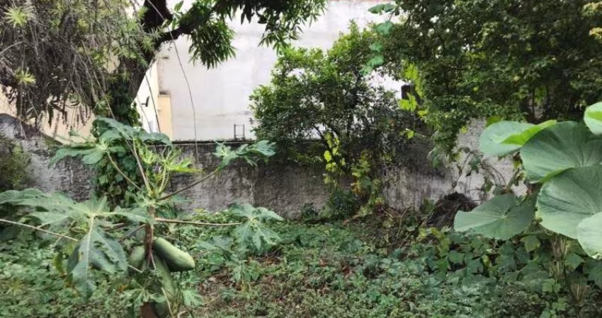 TERRENO LAUZANE PAULISTA  375 M² ZC