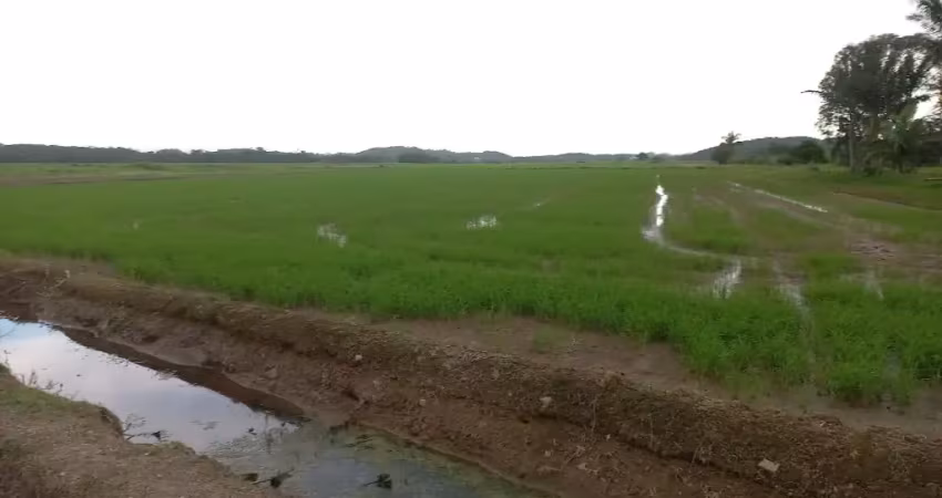 Terreno à venda na Vila Nova, Joinville 
