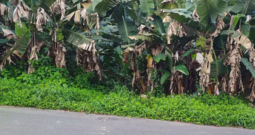 Terreno à venda no Anita Garibaldi, Joinville 