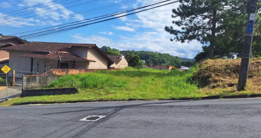 Terreno à venda no Anita Garibaldi, Joinville 