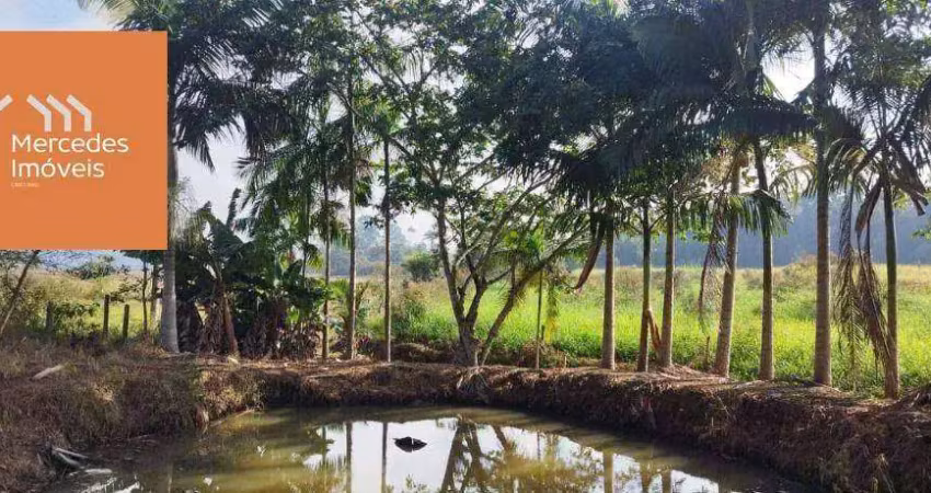Sítio à venda, 5000 m² por R$ 670.000 - Brilhante I - Itajaí/SC