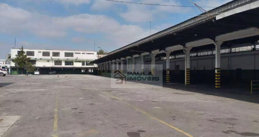 Galpão, 3500 m² - venda por r$ 29.000.000,00 ou aluguel por r$ 122.764,48/mês - parque novo mundo - são paulo/sp
