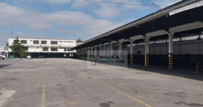 Galpão, 3500 m² - venda por r$ 29.000.000,00 ou aluguel por r$ 122.764,48/mês - parque novo mundo - são paulo/sp