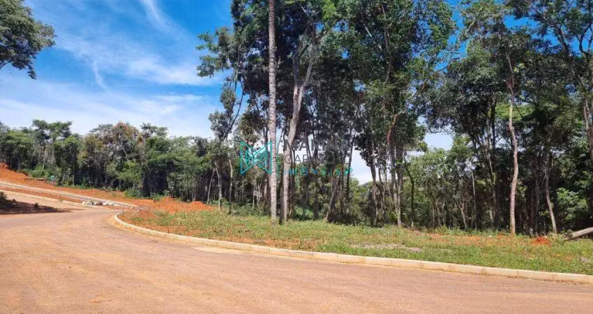 Terreno à venda, 524 m² por r$ 229.900,00 - vila albanos - lagoa santa/mg