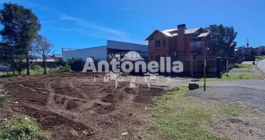 Terreno para venda  no bairro parque oásis em caxias do sul