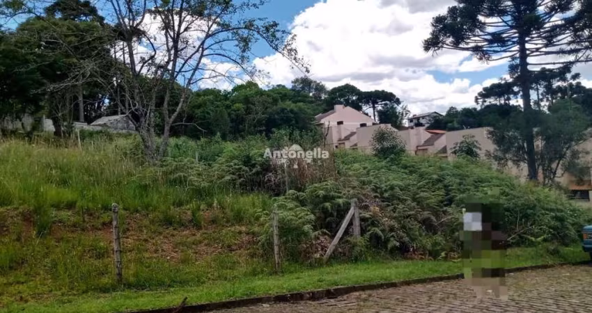 Terreno à venda em Ana Rech!