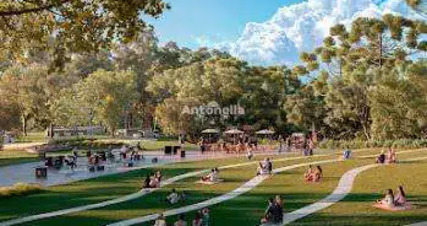 Terreno à venda no Jardim Iracema, Caxias do Sul 
