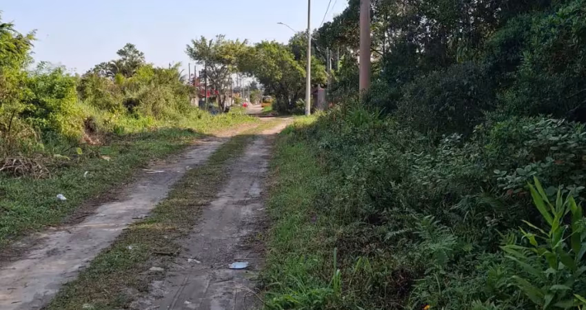 1/2lote no gaivota itanhaém  lado( serra)com luz internet próximo da pista.