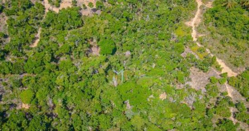Terrenaço vista mar com 10.567 m² em Arraial Dajuda!
