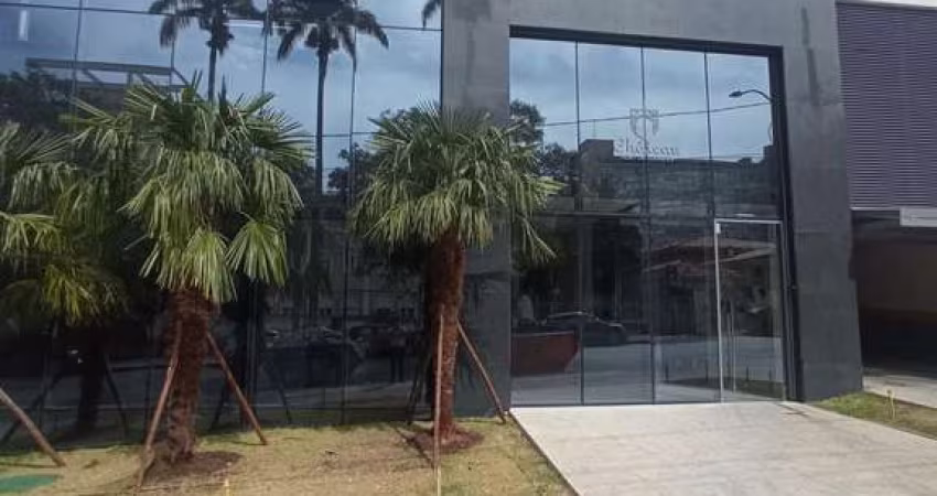 Apartamento à venda, no Edificio Chateau Fort de Lourdes,  em Belo Horizonte, Lourdes, com 3 quartos, 87,38m²