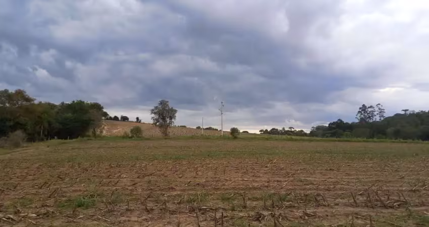 Chácara / sítio à venda na Estrada Municipal José Corrêa de Moraes, 130, Chapada Grande, Itapetininga