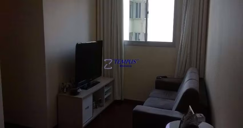 Apartamento com 2 quartos à venda na Rua Antônio Rodrigues Moreira Neto, 201, Jardim Paulicéia, Campinas