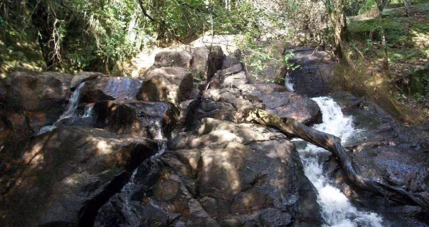 Sítio com 2 dormitórios à venda, 228448 m² por r$ 1.000.000,00 - zona rural - pinhalzinho/sp