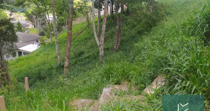 Terreno à venda, 600 m² por r$ 220.000,00 - vargem grande - teresópolis/rj