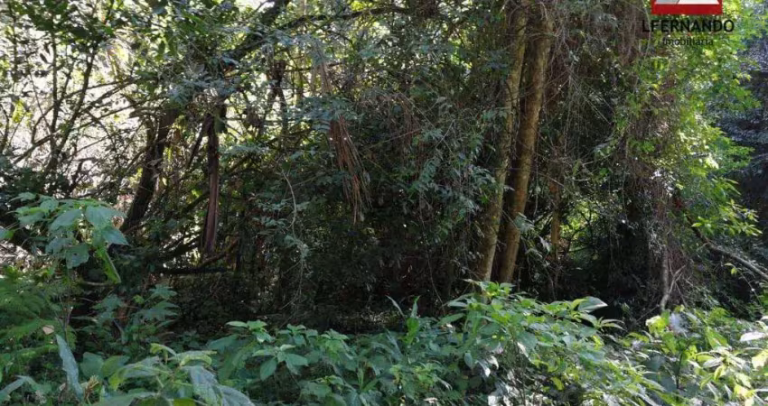 Terreno à venda, 30.000 m² por r$ 400.000 - centro - luiz alves/sc