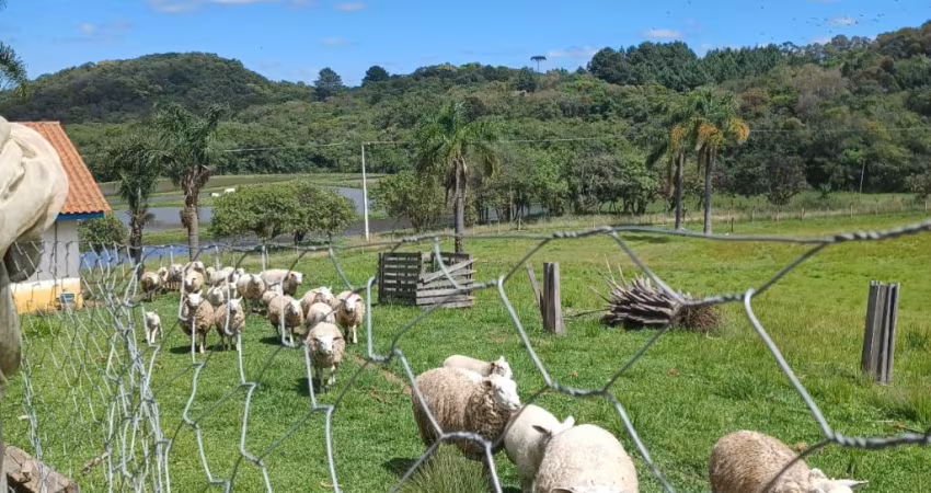 Sito/Chácara 104.500 M² Fazenda Rio Grande/PR