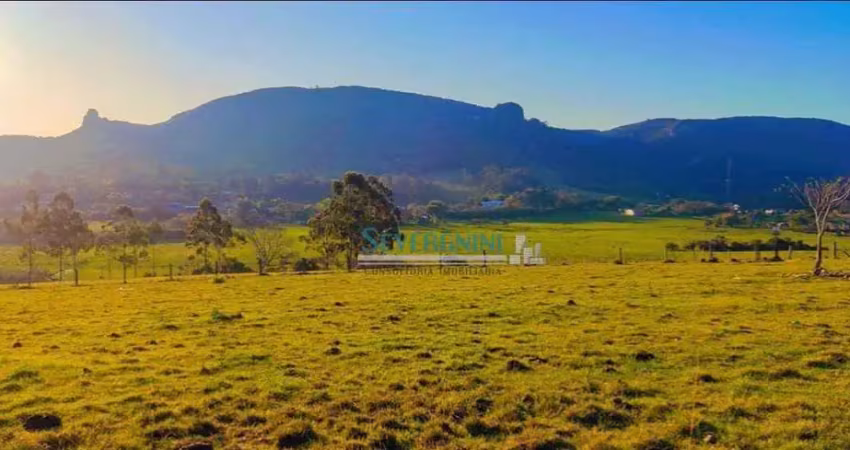 Terreno à venda, 3838 m² por r$ 212.000,00 - santa cruz - gravataí/rs