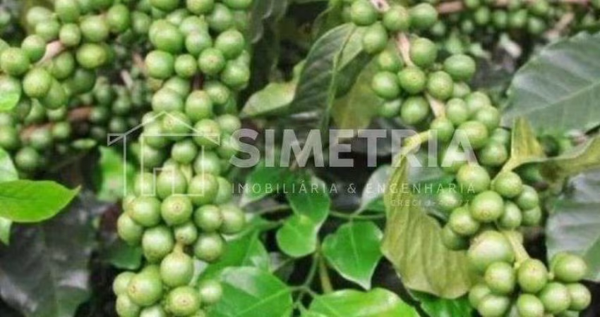 VENDA – FAZENDA DE CAFÉ, PECUÁRIA, GRÃOS E FRUTICULTURA NA REGIÃO DE IBIÁ - MG