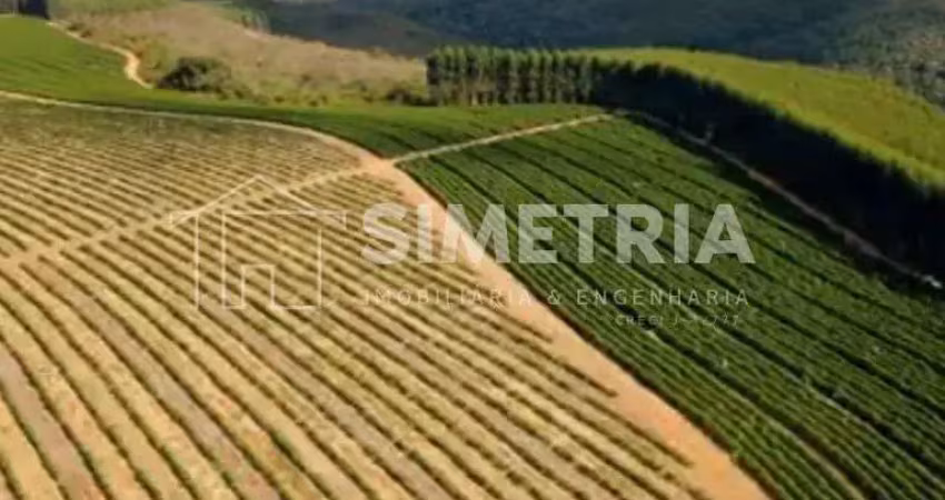 Venda – fazenda de café na região de capelinha - mg! fzv0742508