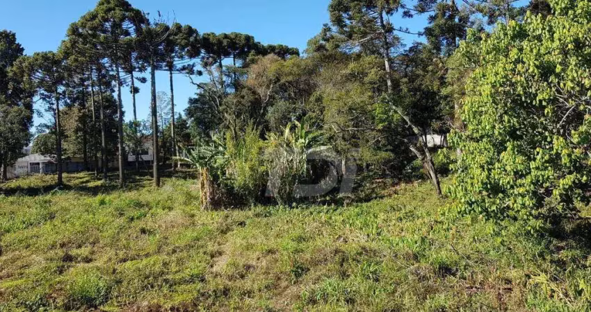 Terreno central para incorporação à venda, 2100 m² por r$ 3.135.000 - centro - campo largo/pr