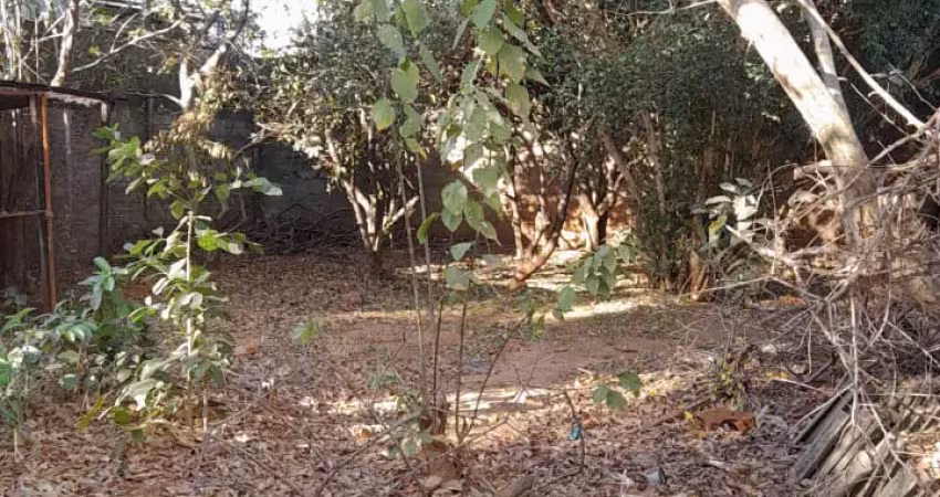 Lote plano murado e com portão no parque real próximo a avenida são paulo