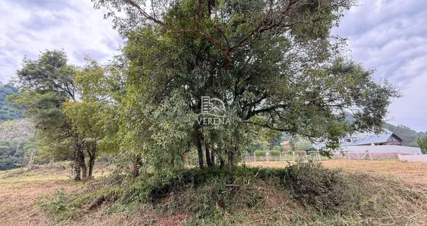 EXCELENTE TERRENO NO SANTA INÁCIO