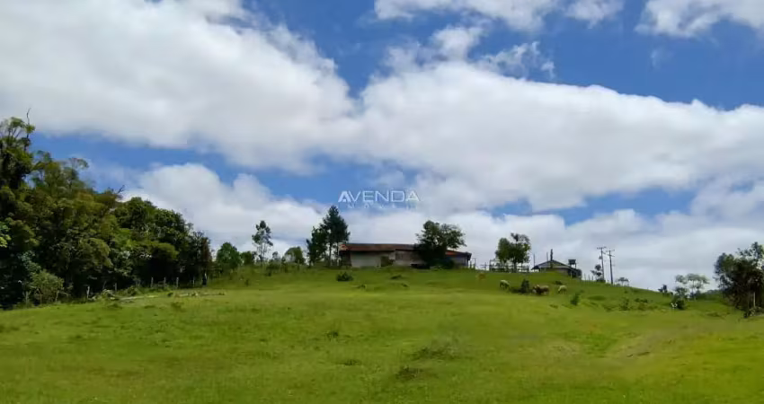 Chácara / sítio com 6 quartos à venda na BR116, km 25, Centro, Campina Grande do Sul