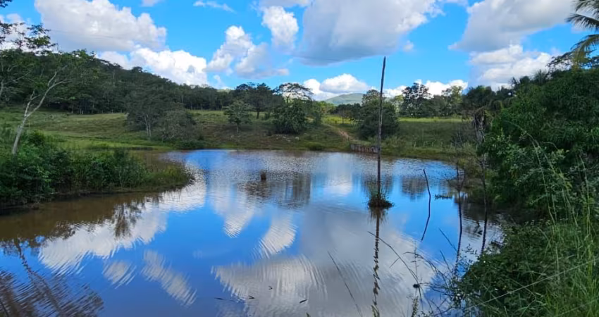 Fazenda Pirinópolis SOJA