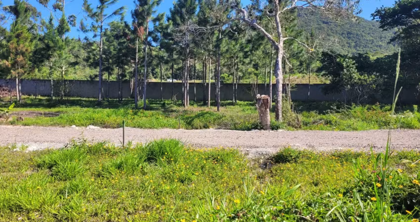 Terreno plano com 200 m² em ratones proximo sc 401 - florianopolis-sc