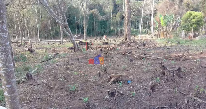 Chácara de 2.102 m² em quatro barras bairro palmitalzinho