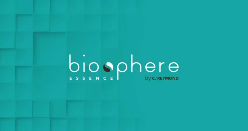 Apartamento Quarto e Sala no Biosphere