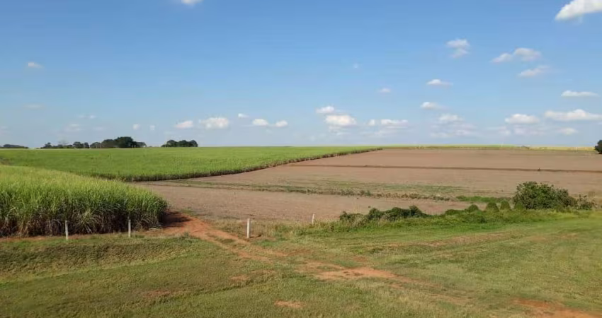 Área à venda, 338800 m² por R$ 50.820.000,00 - Benfica - Elias Fausto/SP