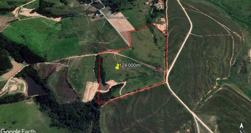 Área à venda, 124000 m² por R$ 7.440.000,00 - Buru - Elias Fausto/SP