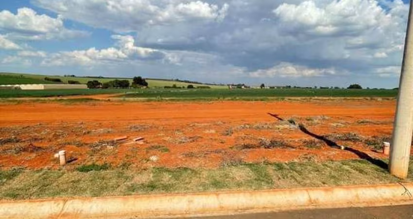 Terreno à venda, 175 m² por R$ 85.000,00 - Residencial Sport Lírios dos Vales - Elias Fausto/SP