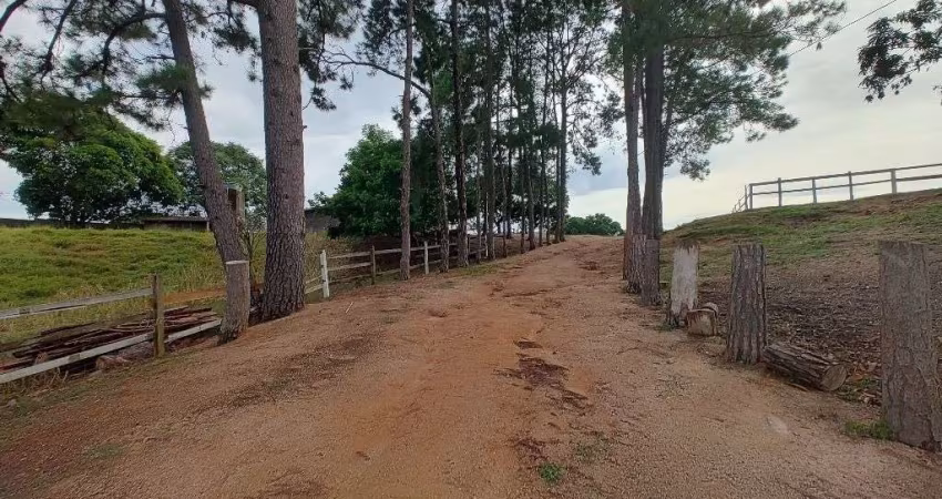 Terreno à venda, 16981 m² por R$ 1.290.000,00 - Santa Eliza - Itupeva/SP