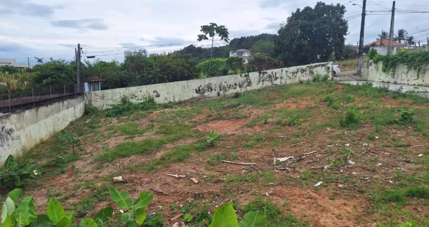 Lote de 600 m em picadas do sul