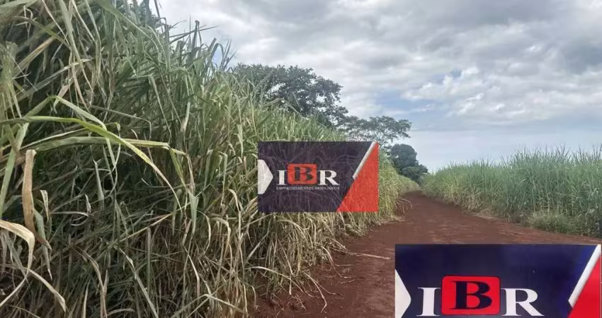 Fazenda à venda na Zona Rural, Ribeirão Bonito 