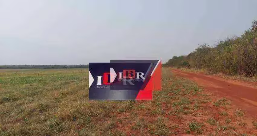 Fazenda à venda na Zona Rural, Dois Irmãos do Buriti 