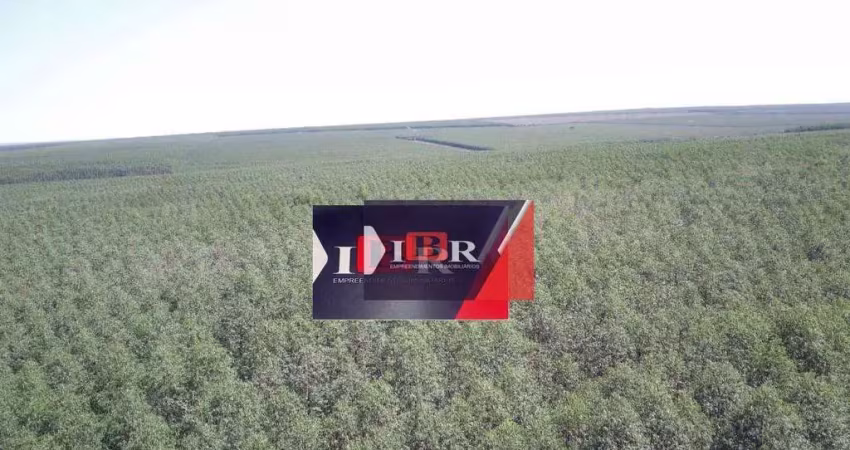 Fazenda à venda na Zona Rural, Ribas do Rio Pardo 