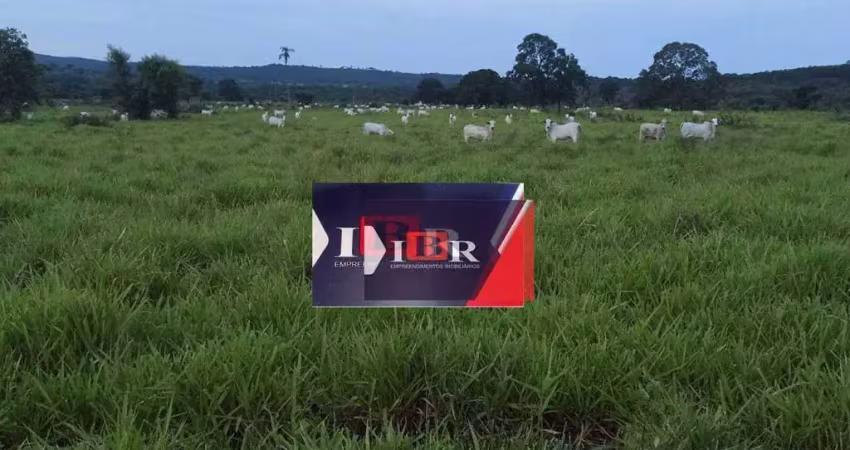 Fazenda à venda na Zona Rural, Terenos 