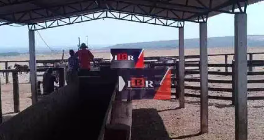 Fazenda à venda na Zona Rural, Itiquira 