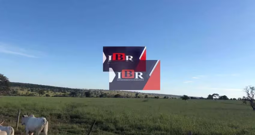 Fazenda à venda na Zona Rural, Anaurilândia 