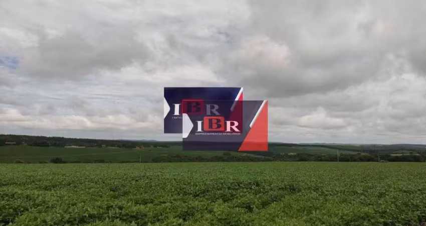 Fazenda à venda na Rua Rúbens Brasi, Área Rural de Itapetininga, Itapetininga