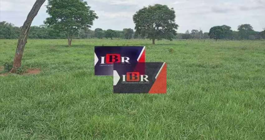 Fazenda à venda na Zona Rural, Terenos 