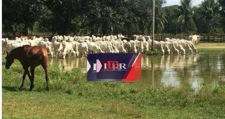 Fazenda à venda no Taunay, Aquidauana 