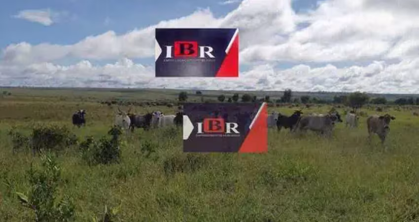 Fazenda à venda na Rua Carurú, Zona Rural, Campo Grande