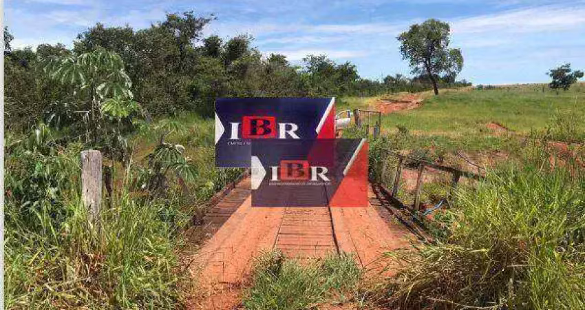 Fazenda à venda na Zona Rural, Ribas do Rio Pardo 