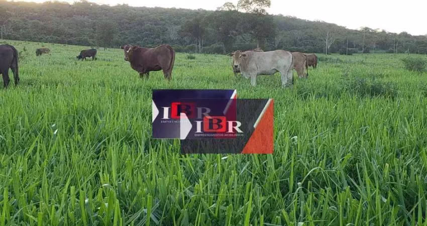 Fazenda à venda na Zona Rural, Terenos 