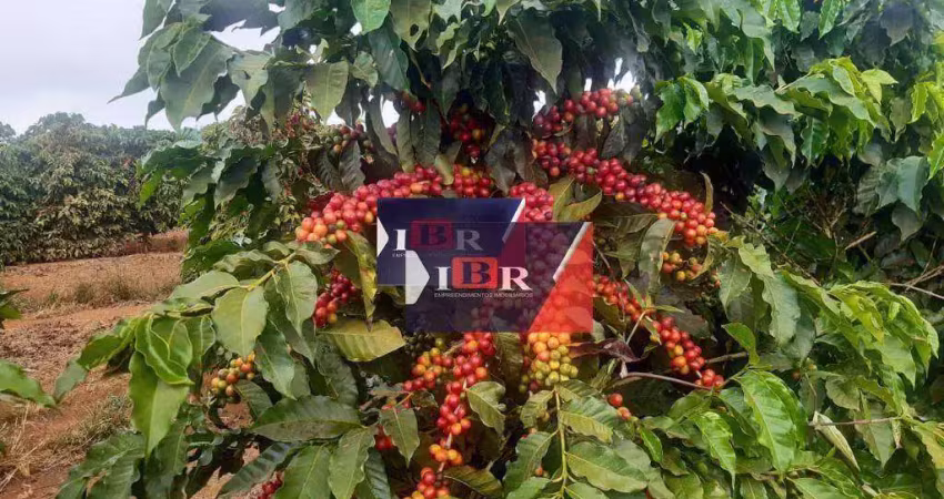 Fazenda à venda na Zona Rural, Luminárias 
