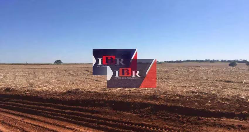 Fazenda em São Jose do Rio Preto - SP